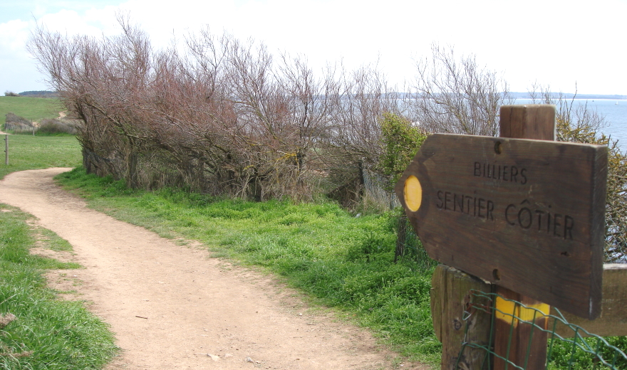 Billiers - Sentier côtier