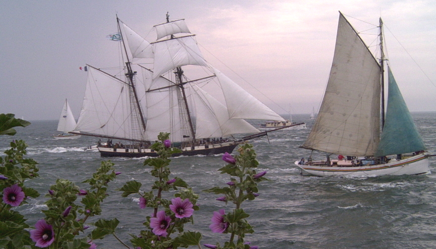 Le Golfe du Morbihan - Les vieux gréments